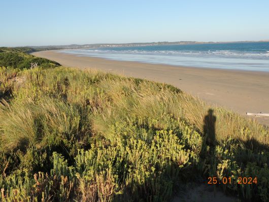 Bakers Beach in the Morning